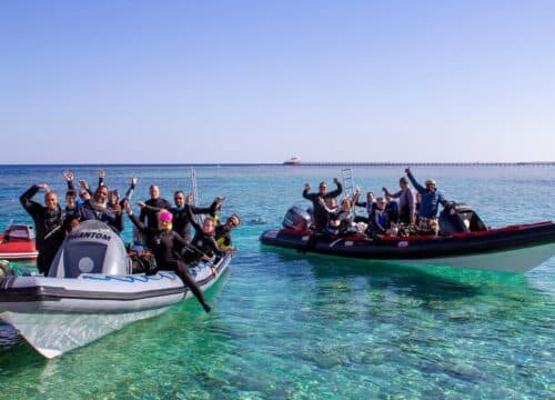 Red Sea tours Egypt